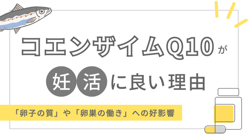 コエンザイムQ10が妊活に良い理由